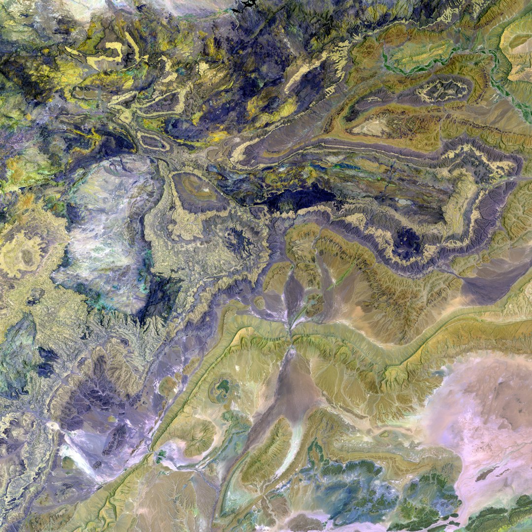 Chocolate croissants